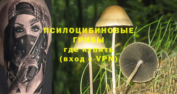 mix Надым