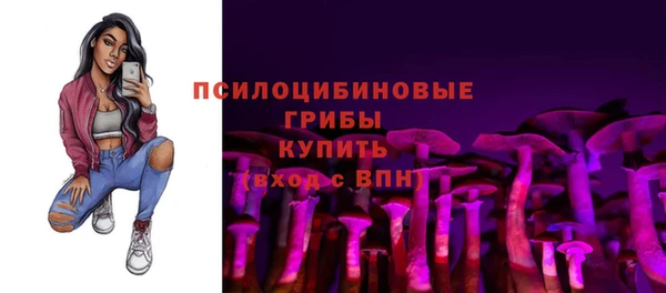 дживик Наволоки