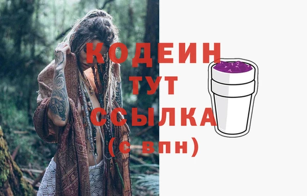 индика Нефтегорск