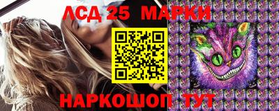 мдпв Заводоуковск