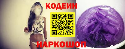 гашик Кингисепп