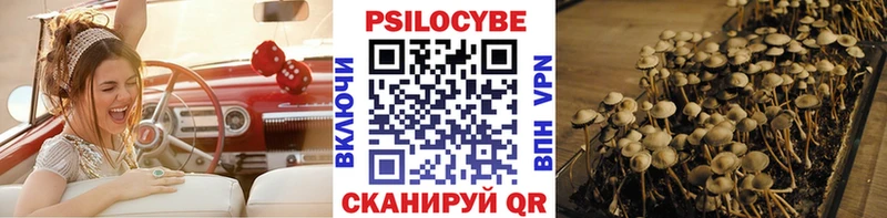 Галлюциногенные грибы MAGIC MUSHROOMS  Красный Сулин 
